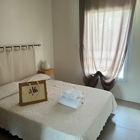 Grand T4, Piscine, Vue Exceptionnelle A 50 M De La * プロプリアノ