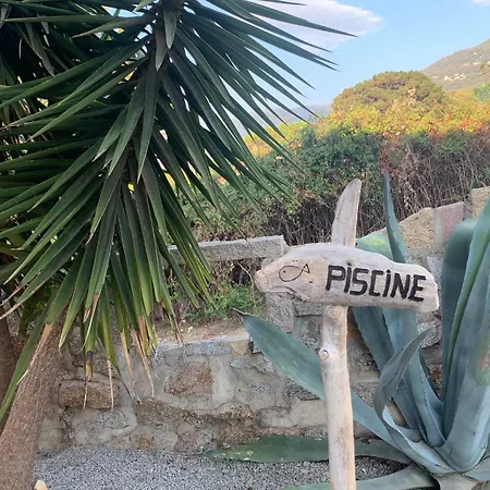 Grand T4, Piscine, Vue Exceptionnelle A 50 M De La