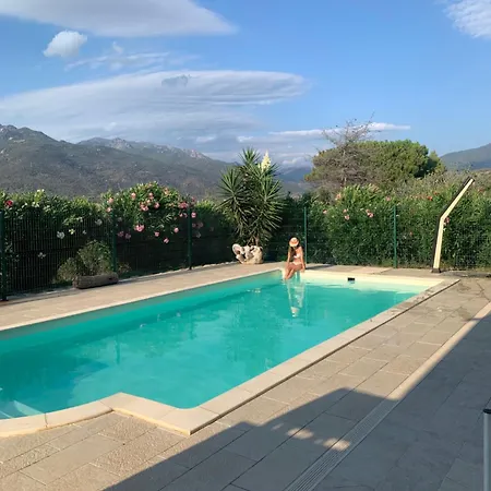 Grand T4, Piscine, Vue Exceptionnelle A 50 M De La Propriano (Corsica)