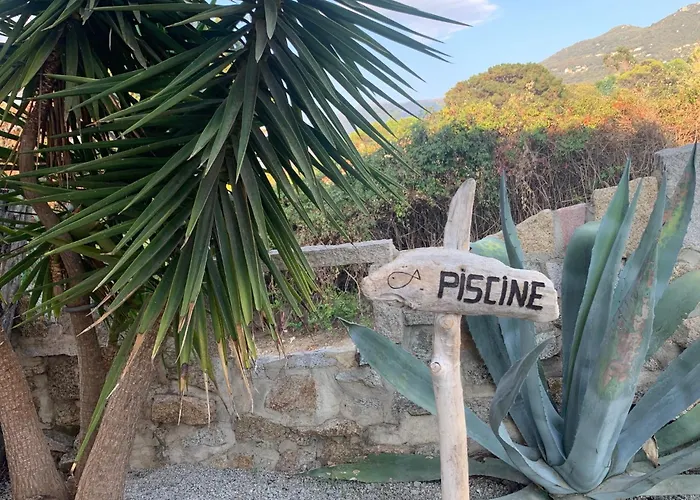 Grand T4, Piscine, Vue Exceptionnelle A 50 M De La